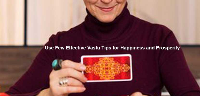 Use Few Effective Vastu Tips for Happiness and Prosperity